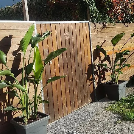Il Giardino *