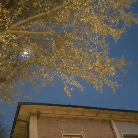 Alojamento de Acomodação e Pequeno-almoço Il Giardino 3*