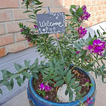 Il Giardino 3* Lippo