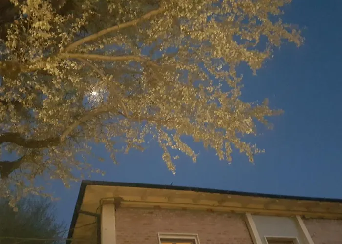 Bed & Breakfast Il Giardino 3*