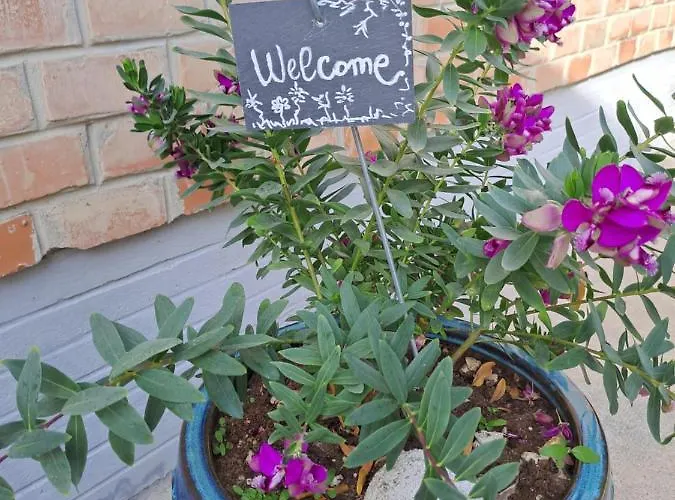 Il Giardino 3* Lippo